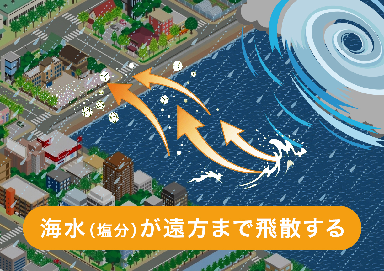 概念図