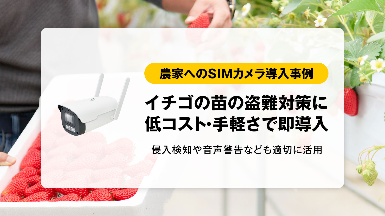 【導入事例】農作物盗難被害をとめたJSS製SIMカメラ